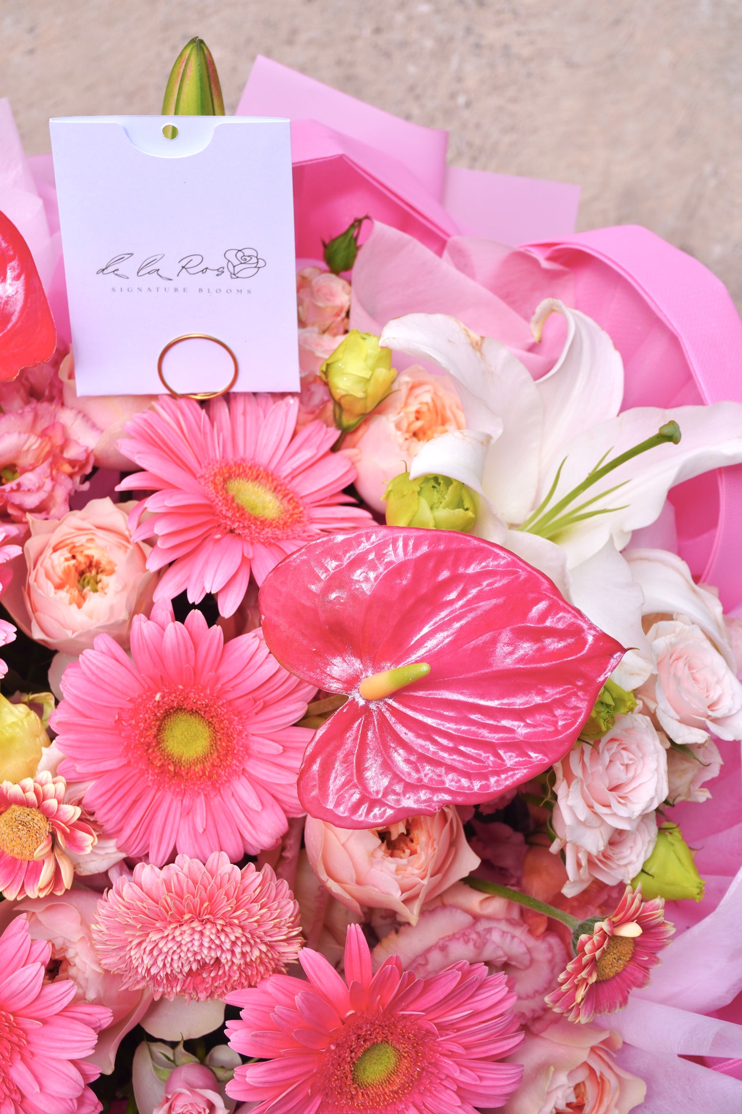 Bloom Pop